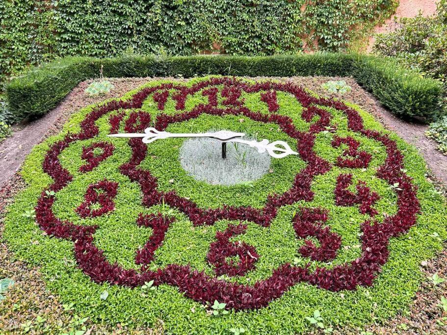 Fewos Anno 1529 In Top-Altstadtlage Von Zittau Bagian luar foto